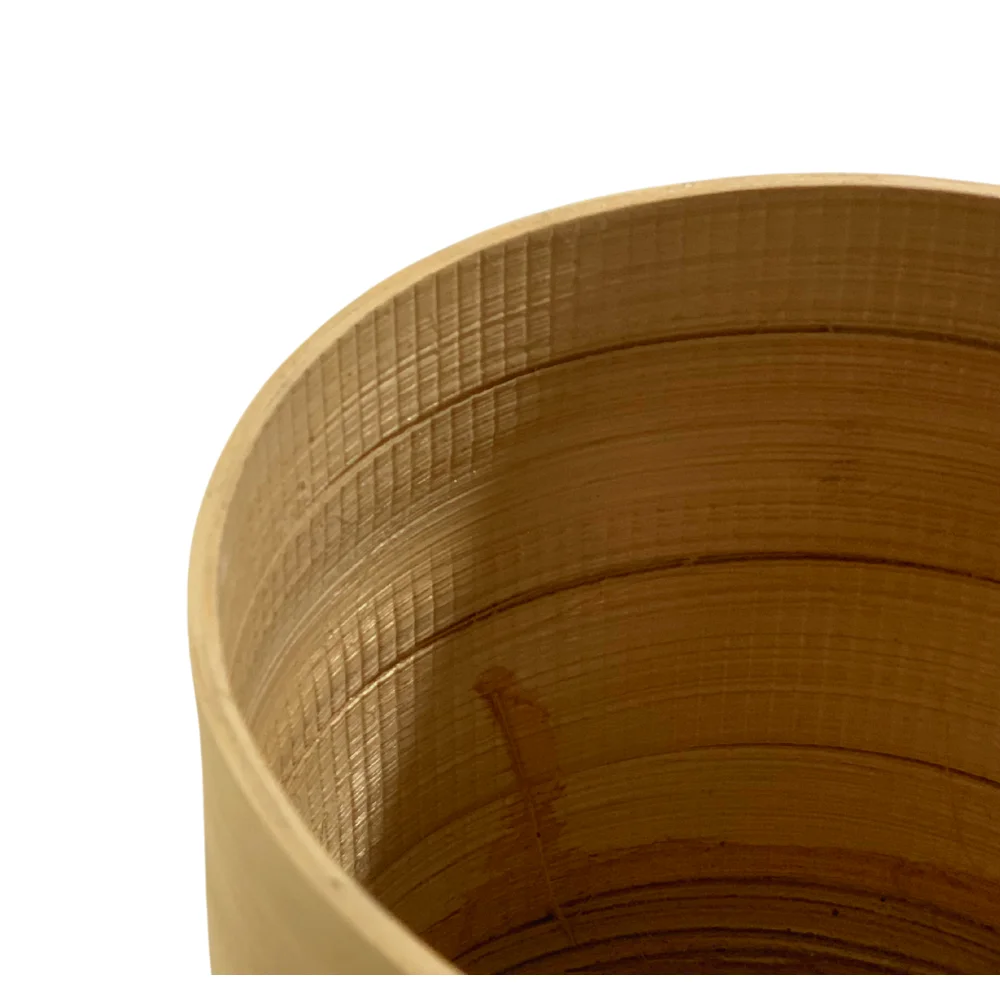 High Quality Traditional Handicrafts Flower Natural Bamboo Plant Medium Sheet Size Rustic Style Garden Supplies Bamboo Plant