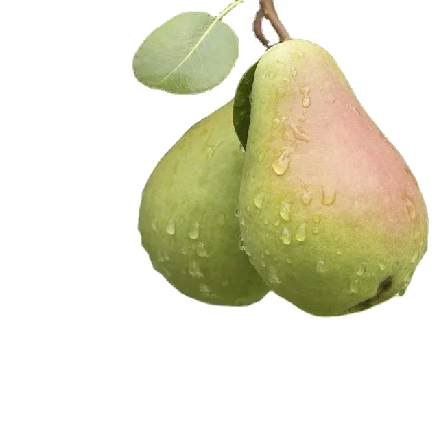 Качественная свежая груша хосуй груша/фэншуй груша/я груша
