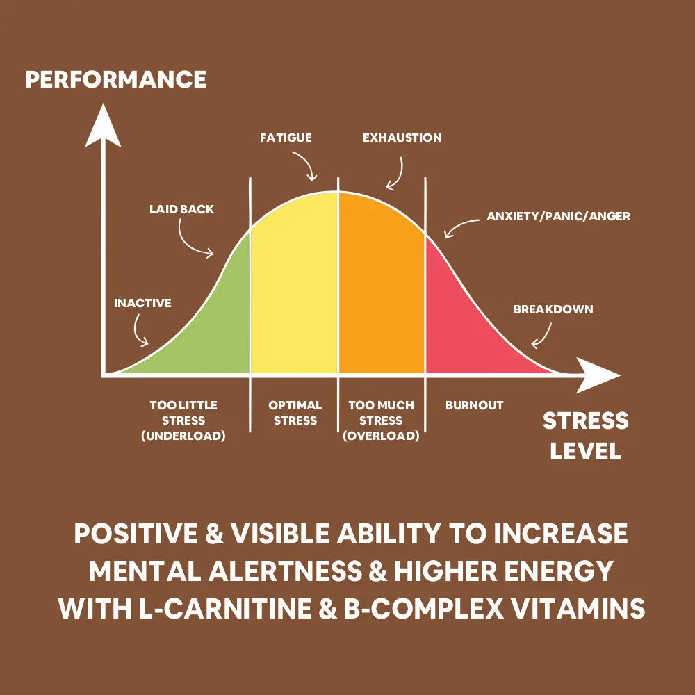 L-Carnitine Concentrated Liquid with 1500mg Per Serving | Pre & Post Workout Supplement for Energy Boost and Immune support