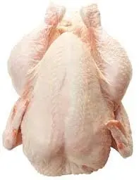 BULK HALAL WHOLE FROZEN CHICKEN FROM TURKEY