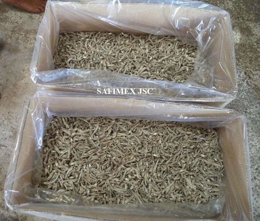 Dry Anchovies Vietnam For Food / Dried Anchovy Fish With High Calcium