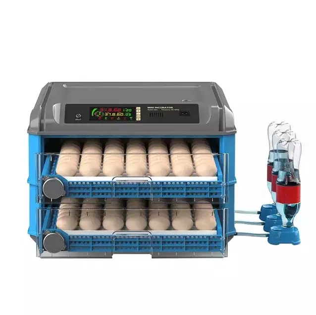 Freshly stock Brown /white Shell Table Eggs for sale at wholesale price/CARTONS /BULK