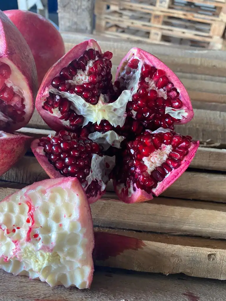 Pomegranade Red Colour Number 1 Quality %100 Organic  Fresh Turkish FruitFresh Turkish  Pomegranade