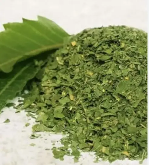 Wholesale Exporters and Manufacturers for Premium Quality Organic Neem Dried Leaves from South India with Good Packing and Price