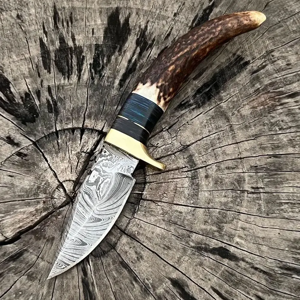 Mini Pocket Carry Knife Fixed Blade Hunting Skinning Knife Damascus Steel made skinner Knife for online sale