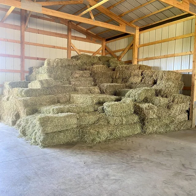 Super High Quality Timothy Hay/Alfalfa Hay Pellets in Bales Best Animal Feeding Stuff for Cattle Horses Made Soybean Packed Bags