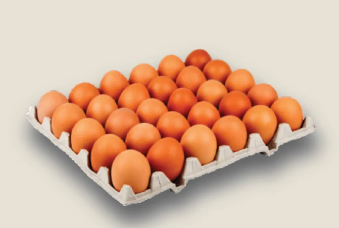 Высококачественное куриное яйцо из Турции, свежее и натуральное яйцо, оптовая цена, яйца из животных