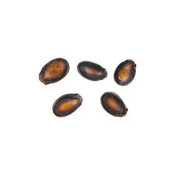 Отличное качество лучшие продажи 100% натуральные вкусные семена оригинального вкуса/арбуз без косточек для оптовых покупателей