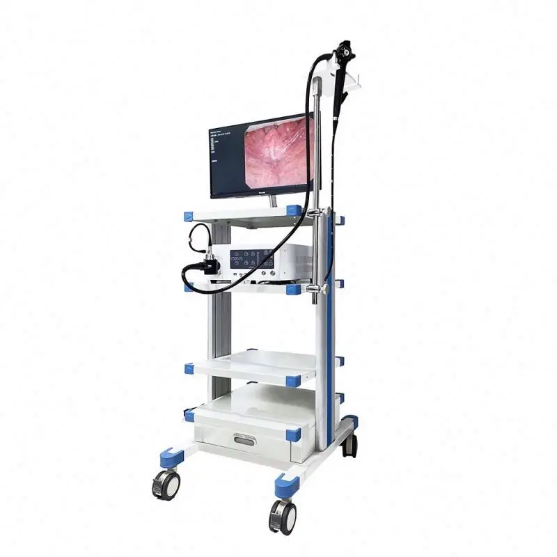 Video ENT Adult & Pediatric Endoscope bronchoscope /Gastroscope / Colonoscope / Ureteroscope/ Endoscope