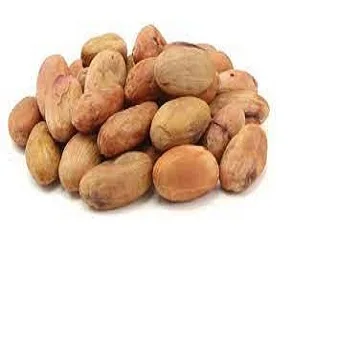 Cheap Price Best Quality Origin Dried Raw Cocoa Beans