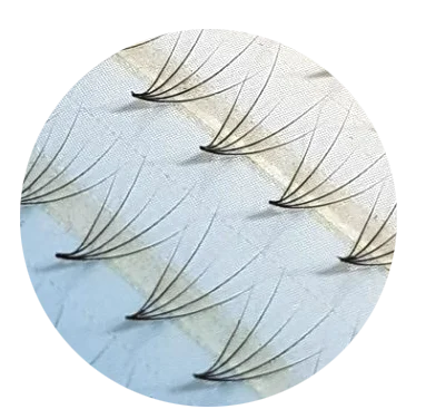Flat Lash Korea Eyelash extension made in Korea It is available about OEM private label Korea manufactured supply false lash