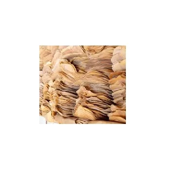 Natural Raw Rubber Material packaged every 50kg per bale