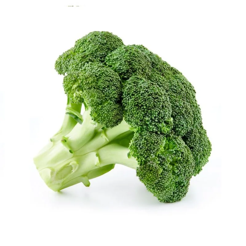 Healthy And Natural Broccoli 2022 Hot Sale High Quality No Frozen Green Fresh COMMON Cultivation Broccoli From Bangladesh