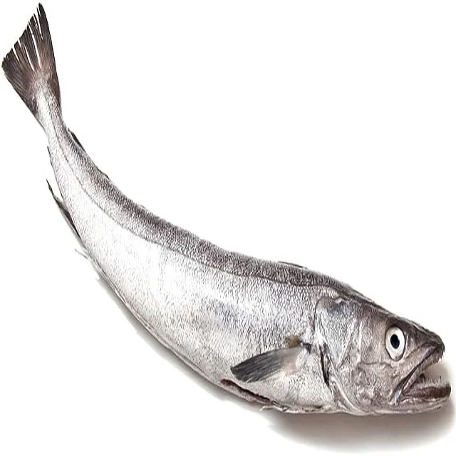 High Quality IQF Fresh Seafood Scomber Japonicus Frozen Pacific Mackerel Sea Frozen Pacific Mackerel Fish