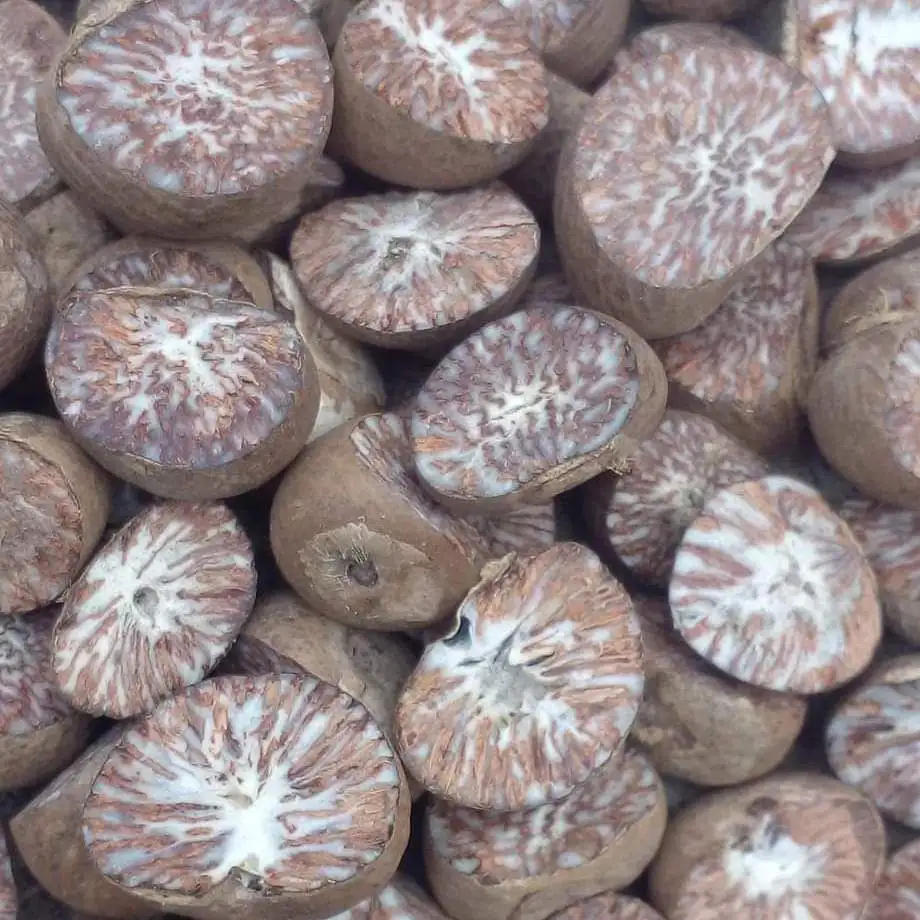 Dried Raw Best Quality Whole Betel Nuts Best Selling Export Quality