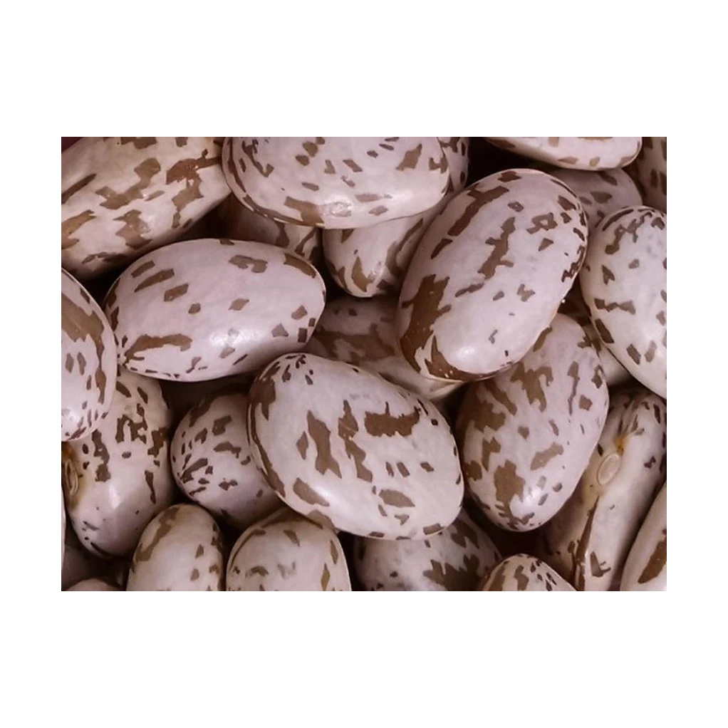 Чистые натуральные органические бобы Пинто + спецификация цена на