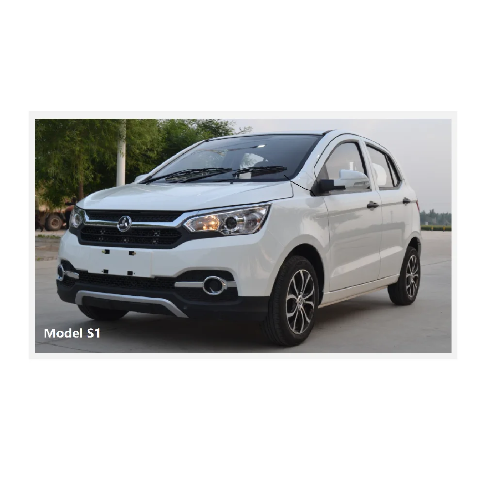 Lithium Battery type independent suspension electric vehicles car New Energy Model S1 with left steering