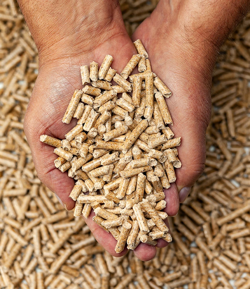 pellets-1.jpg