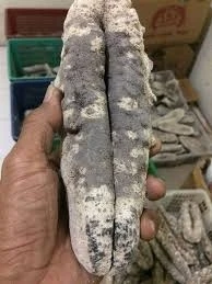 Dried Sea Cucumber with Best Price and High Quality 2022 From Vietnam