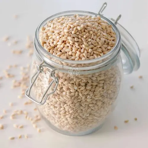 Wholesale Barley for Malt Barley Grains Ready For Export