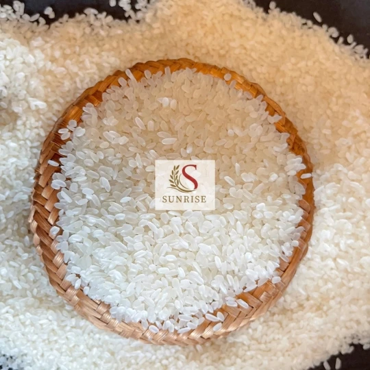 [Best Sales 2023] Calrose Camolino rice short grain  Egyptian rice from Vietnam - WA:84-975807426 Lucy