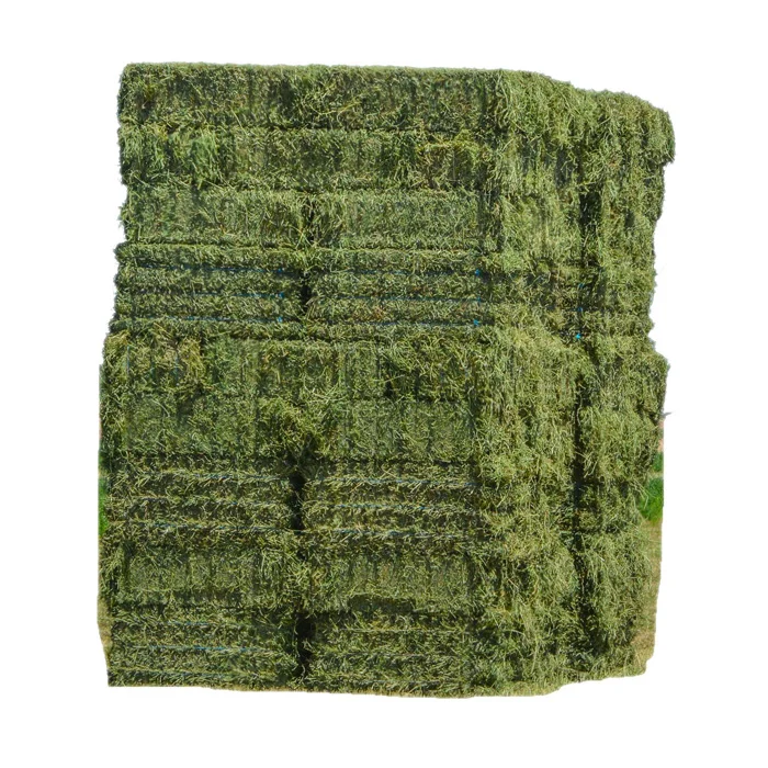 Alfafa Hay for Animal Feeding /alfalfa hay pellets /Timothy Hay in Bales