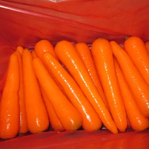 Fresh Vegetables Supplier Fresh Carrots Best Price Carrots New Crop Red Carrots