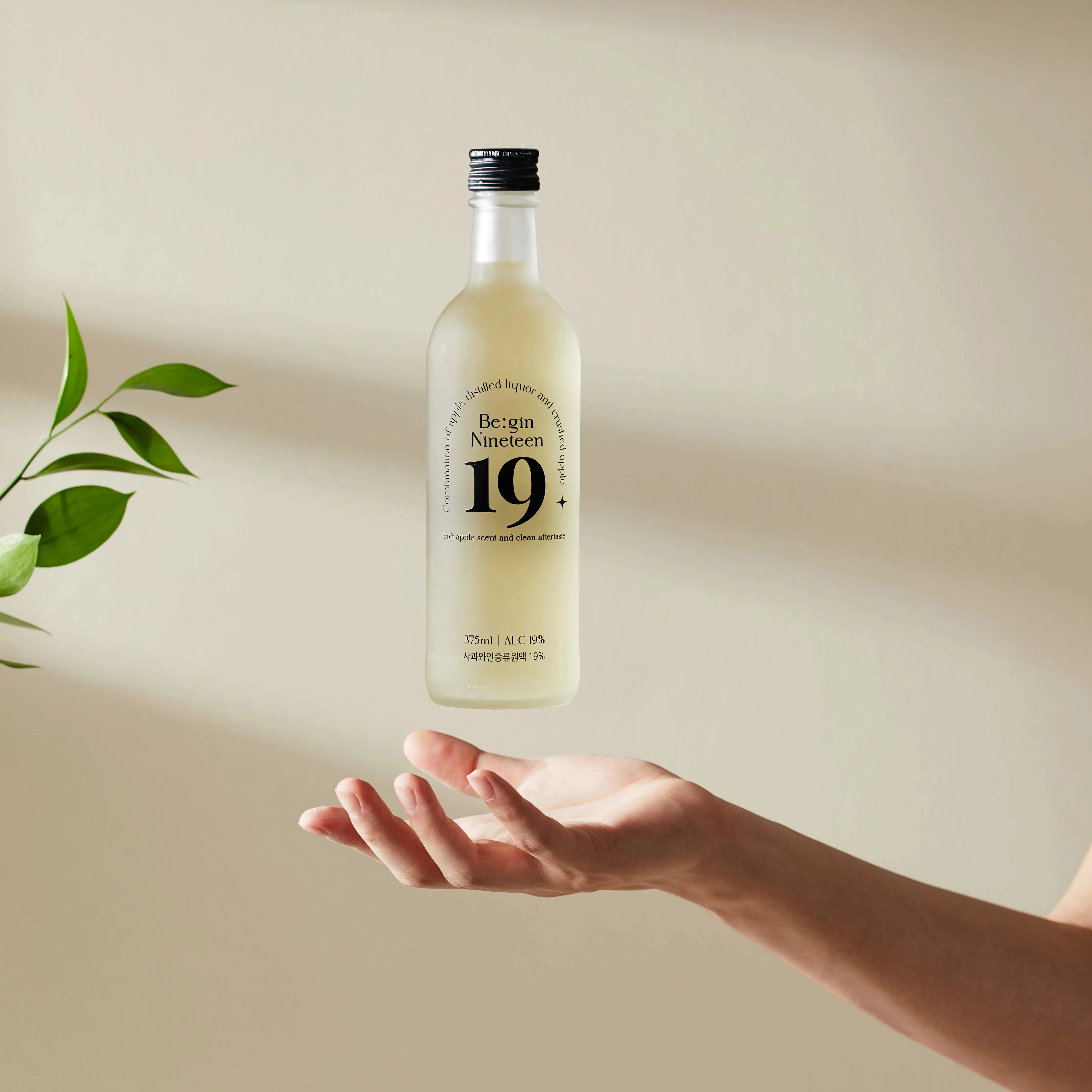 Begin 19 The Korean distilled liquor apple based apple wine based liquor 19% Korean prime drink Begin Nineteen