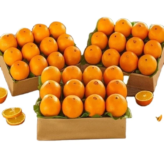 Premium Quality Thai Tangerine Sweet Tasty Juicy Orange 100% Natural Freshly Picked from Thailand Farms