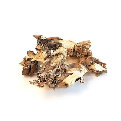 Mushrooms For Sale Dried Morels Price Dried Mushrooms wholesale