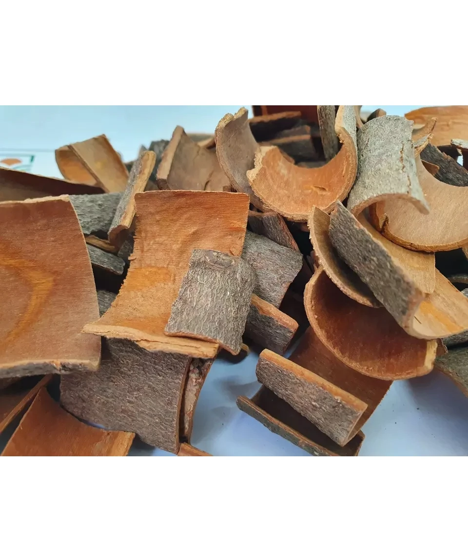 Cassia cinnamon Square Origin Vietnam Cigarette Product With High Quality From Manufacture Good Price