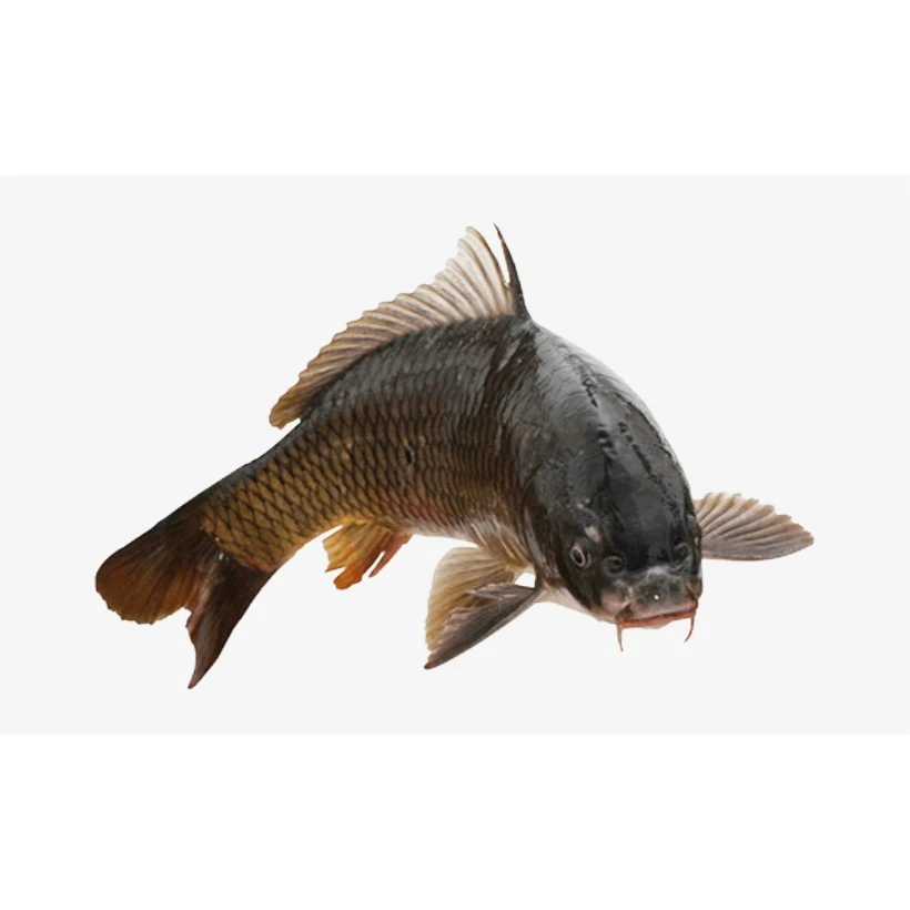 Carbon rod the fishing rod for big fish telescopic carp rod