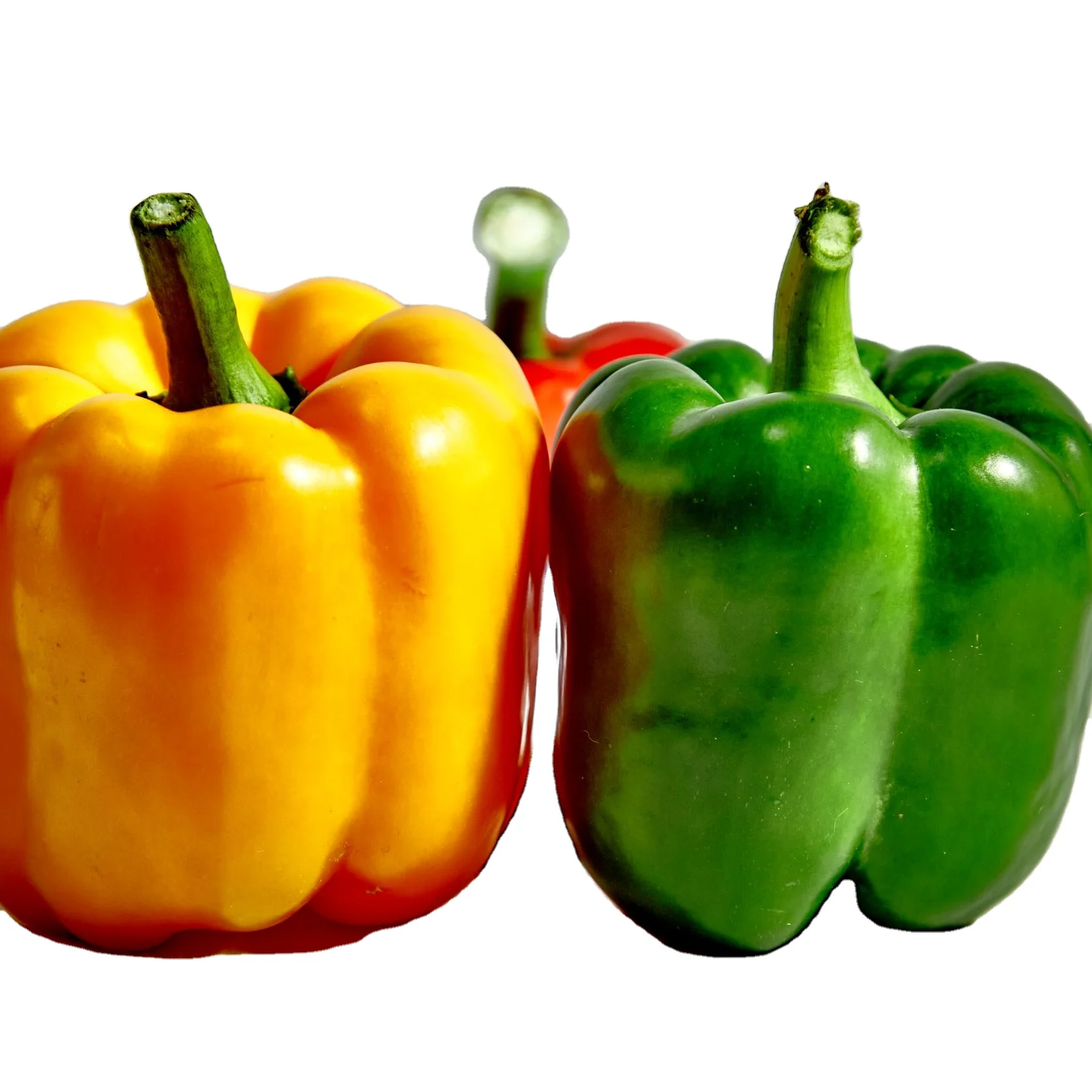 Color Capsicum Bell Yellow Style Mature Weight Pepper Origin Type Size Fresh Spicy Place Model Maturity Cultivation Flavor BEC