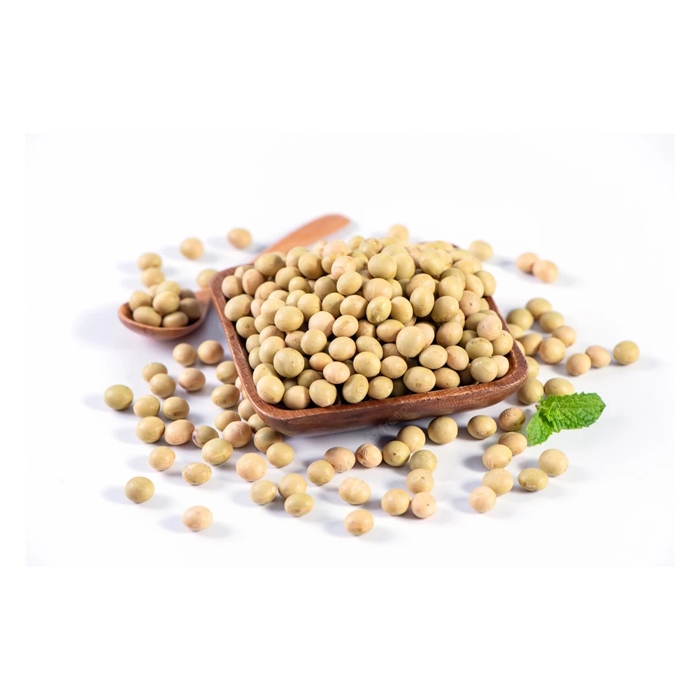 High Quality Based in USA GMO Wholesale Fresh SOYBEAN High Quality Ready to Ship