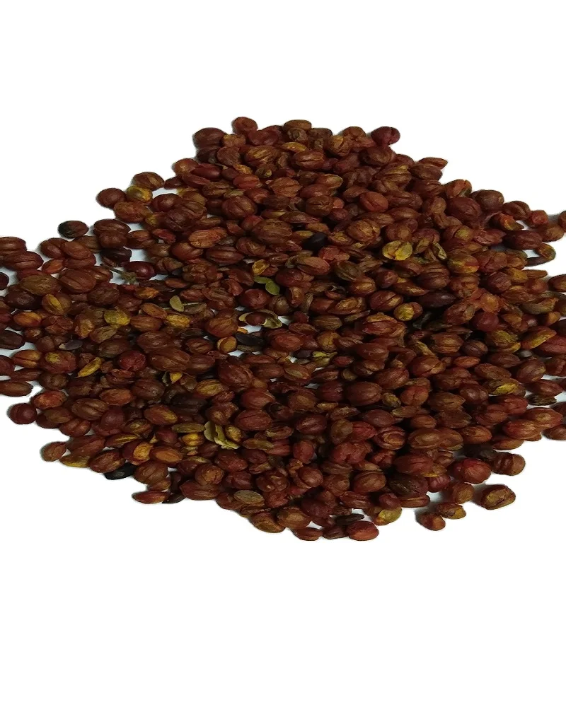 Celastrus Paniculatus Seeds/ Malkangni/jyotismati For Sale at Wholesale Suppliers India