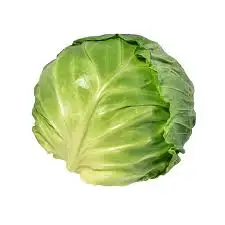 New Crop Fresh green cabbage From Vietnam Wholesale price fast delivery