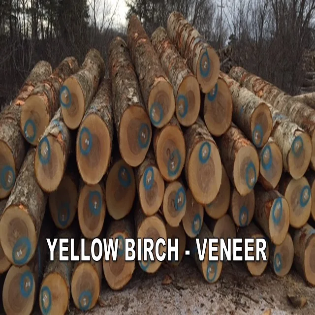 Baillie Lumber Hardwood Supplier-round Logs for Sale Variety Including Teak Sandalwood Pine Wood