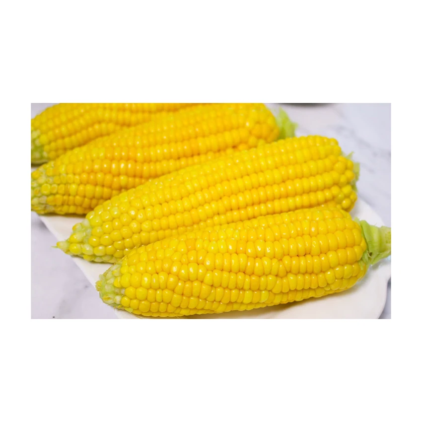 Wholesale Price Yellow Corn High Quality Yellow Maize Corn for Animal Feed Supplier Yellow Corn/ White Corn/ Maize for Sale