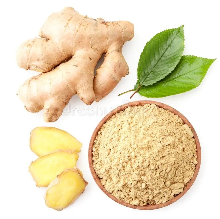 Unwashed Fresh Elephant Ginger / Fresh Ginger Air Dried Premium Quality from Brazil