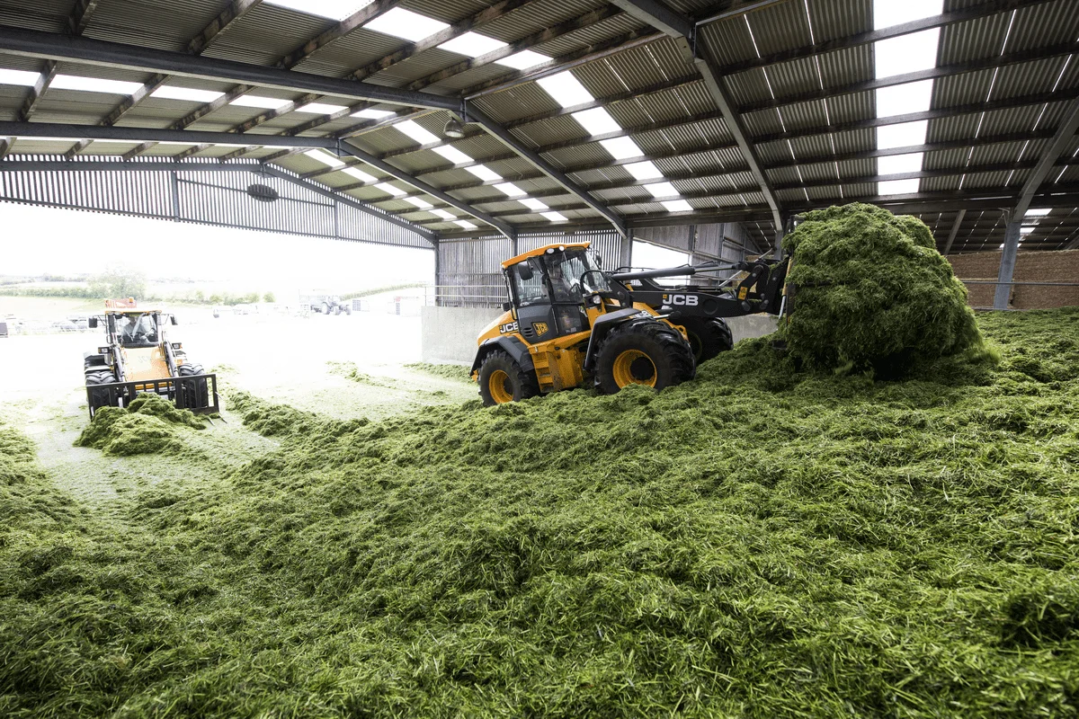 Packed silage bales available for export | Silage Experts Africa