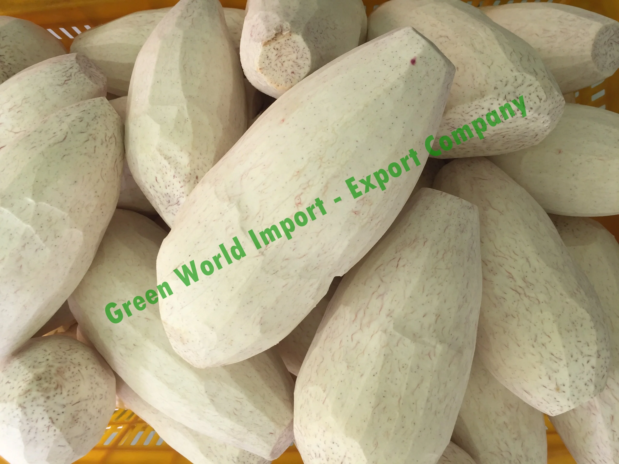 FROZEN TARO CHEAPEST PRICE FROM VIETNAM - 100% NATURAL FROZEN TARO DELICIOUS- HIGH QUALITY FROZEN TARO FOR YOUR BUSINESS