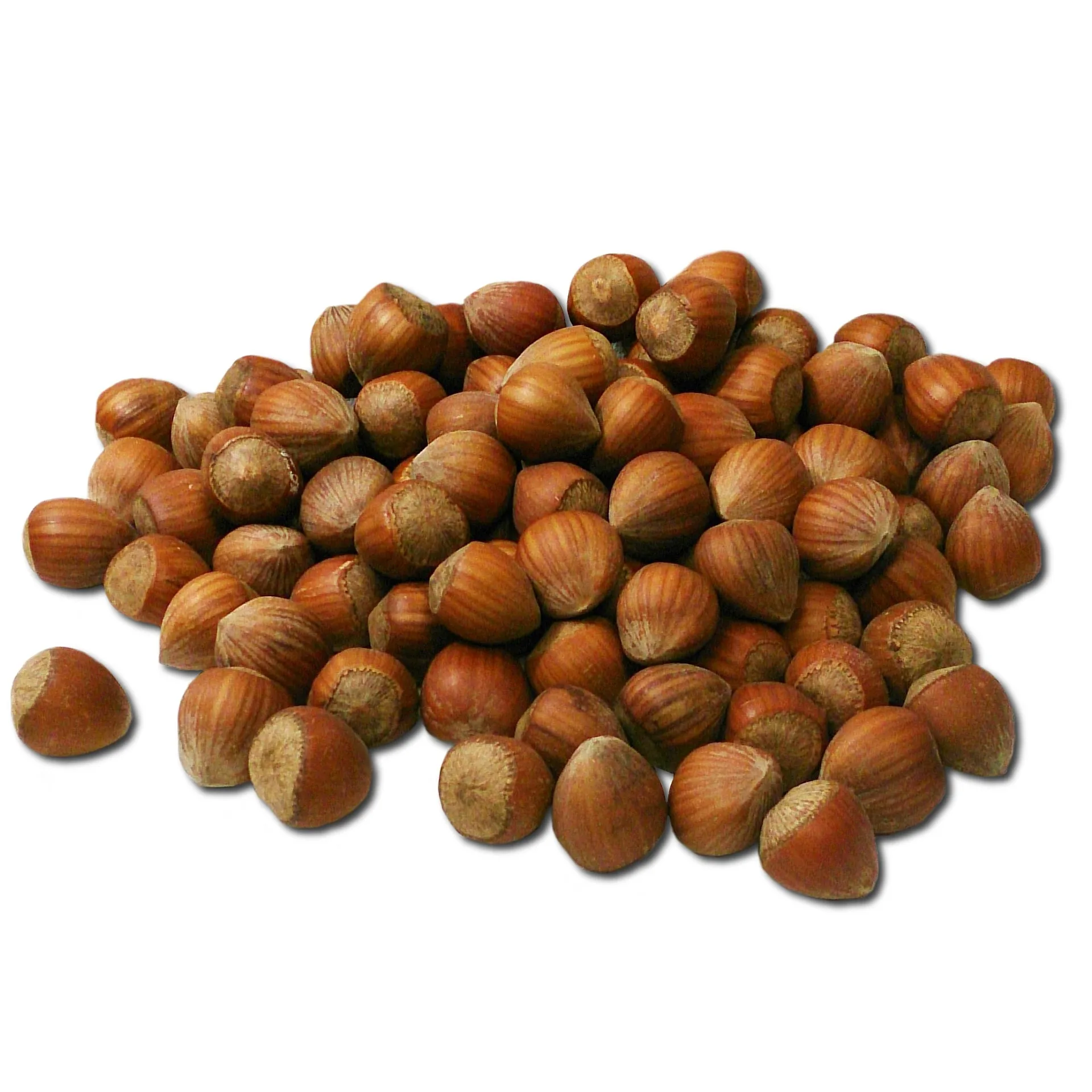 Suppliers Shelled Hazelnut Dried Hazelnut UnPealed Sale From Turkey OEM Shell Box Style Packaging 50 kg FOOD  Color Package