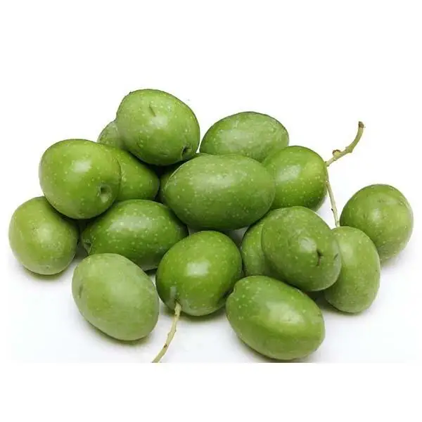 High Quality Natural Fresh Olives for Sale Green Olives Available for Wholesale