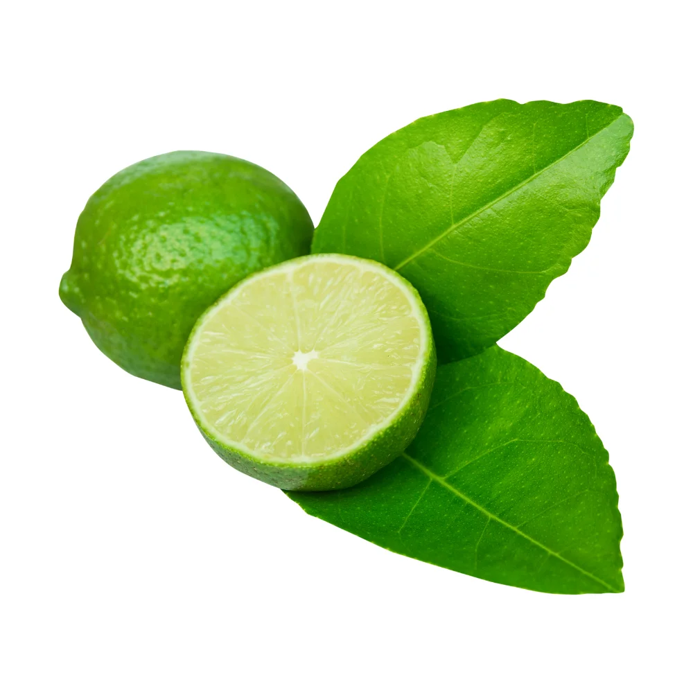 Wholesale Fresh Lime From Vietnam High Quality Fresh Seedless Lime Ready To Ship For Export Green Seedless Lime