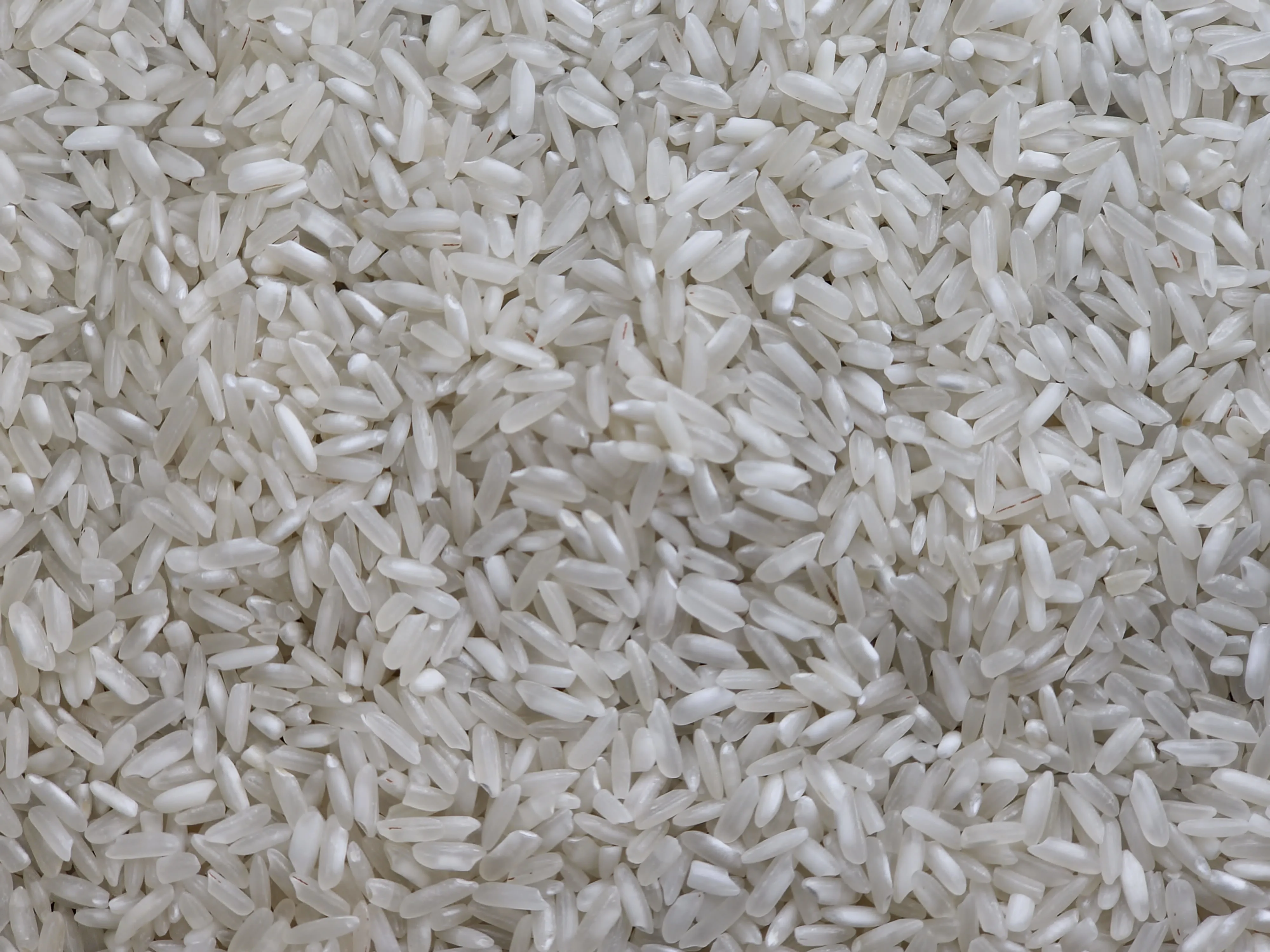 Top-Grade 504 Long Grain Parboiled White Rice from Vietnam Dried Hard Texture SafeAgri