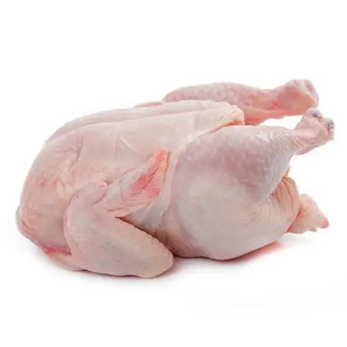Frozen chicken for China JBS SEARA BRF  Brazil Chicken Feet Chicken Paws Sif Supplier