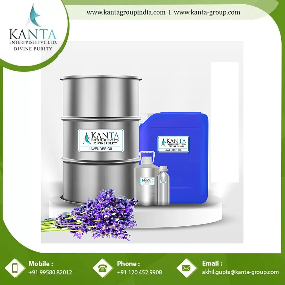 Essential oils bulk organic lavender essential oil top grade lavender essential oils Lowest Price Indian Supplier