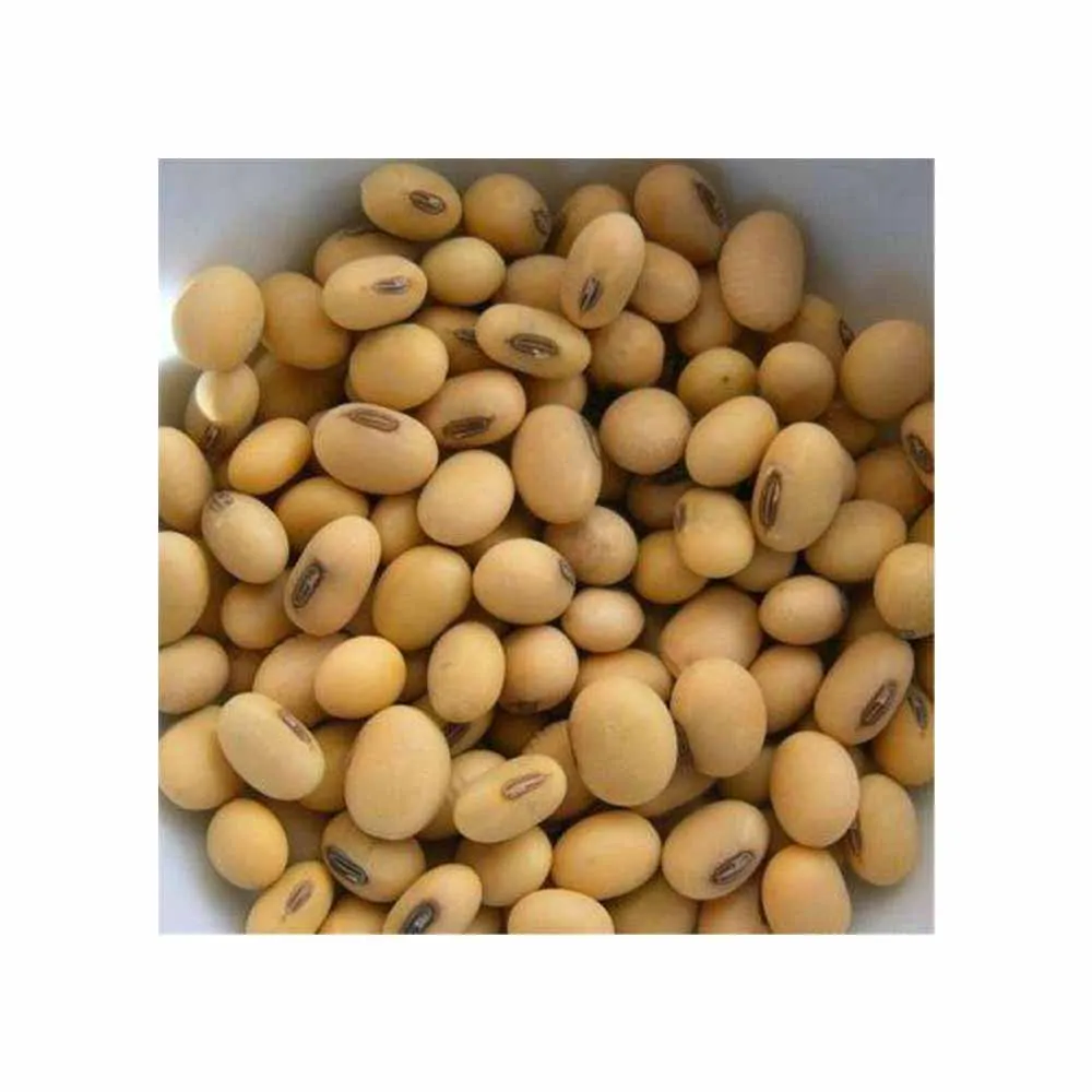 Soybeans NON-GMO Crop High Quality Soybean Wholesale