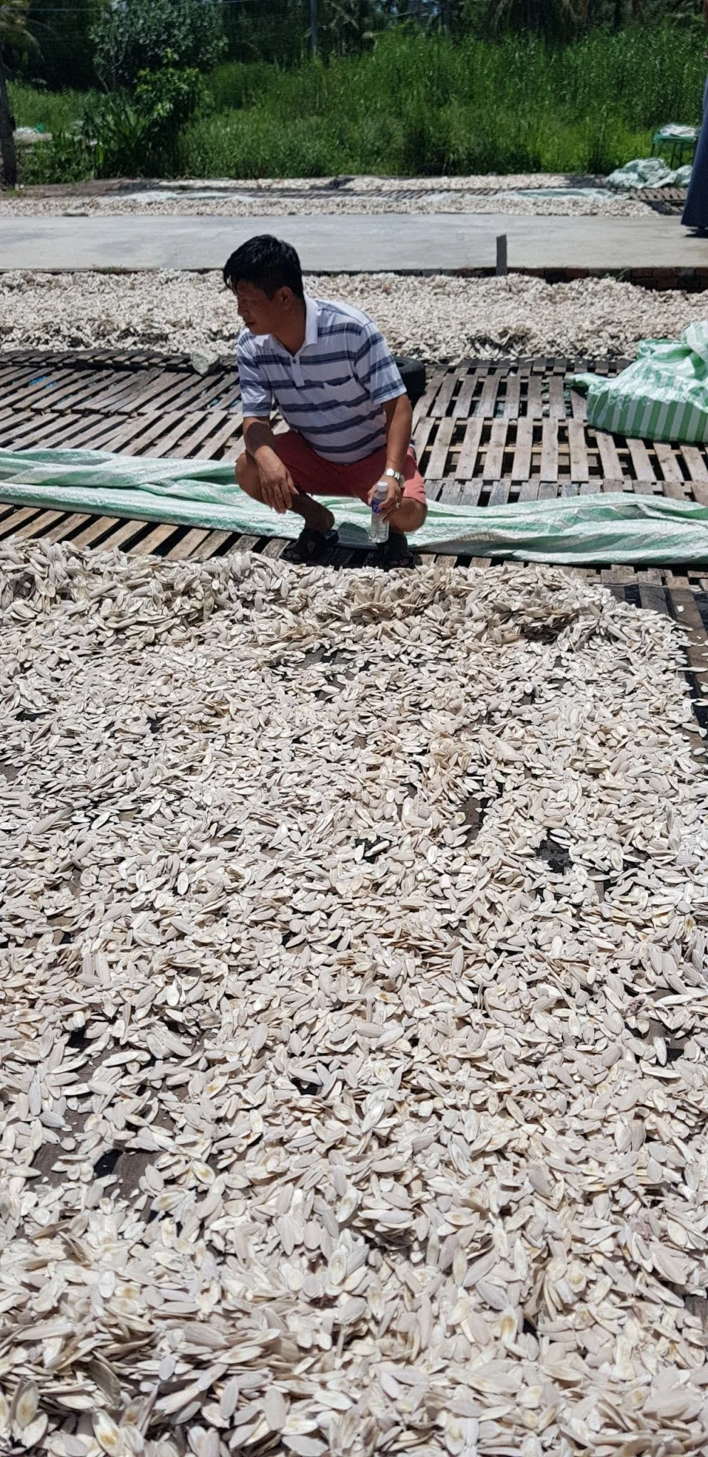 Octopus Cuttlefish Japanese squid jig Luminous Wooden Egi Shrimp Squid Hook fishing frog lure