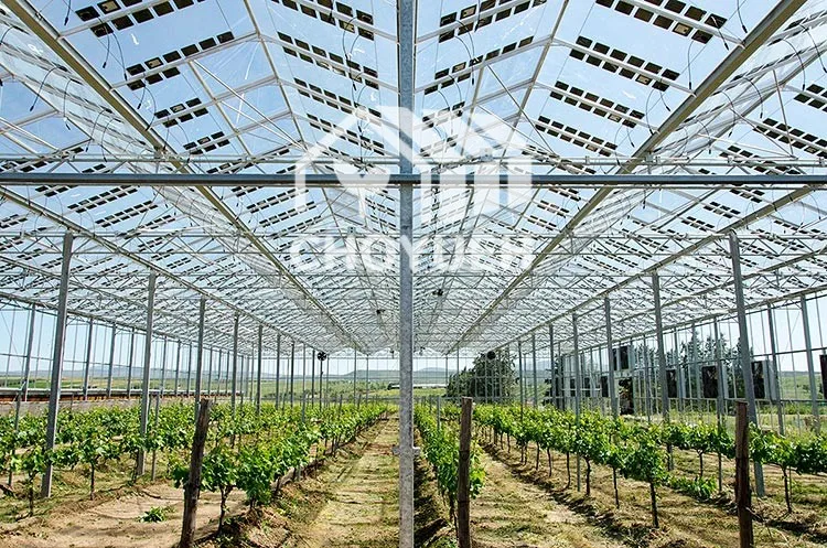 CHOYUEH A-образная крыша солнечная панель Venlo теплица с фотоэлектрической системой выработки энергии для посадки семян лотком выращивания